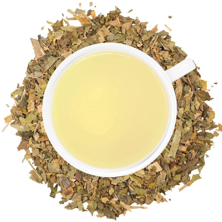 A white mug filled with ginkgo tea surrounded by ginkgo on a white surface. 