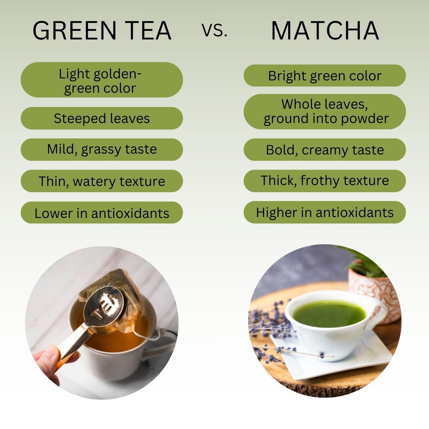A green tea vs Matcha info graphic. 