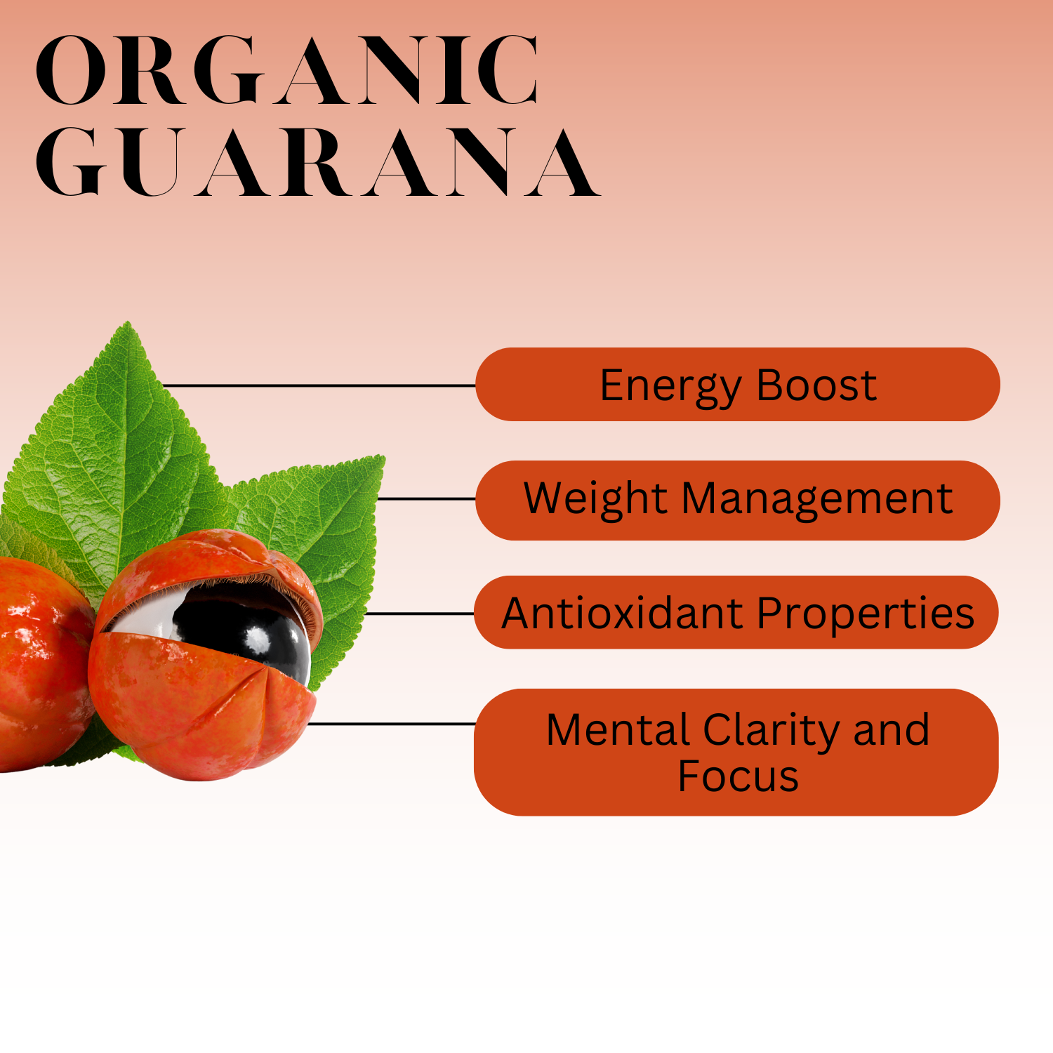 An infographic description for Organic Guarana.