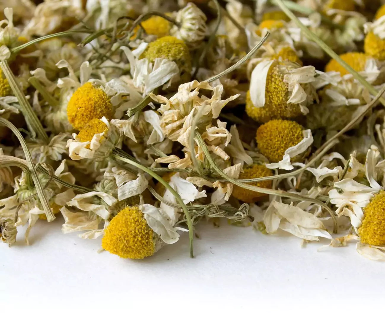 Photo of chamomile sitting on white table