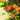 Oranges hanging from a tree with green leaves