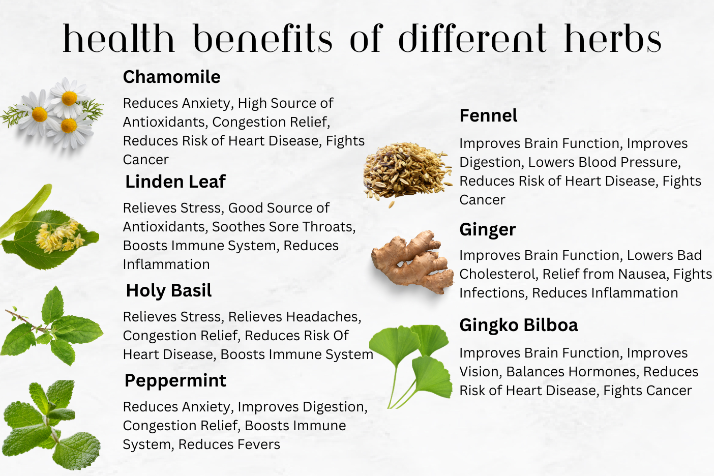 Infographic titled 'Health Benefits of Different Herbs' featuring chamomile, linden leaf, holy basil, peppermint, fennel, ginger, and ginkgo biloba, each with images and listed benefits such as stress relief, improved digestion, antioxidants, and heart health support.