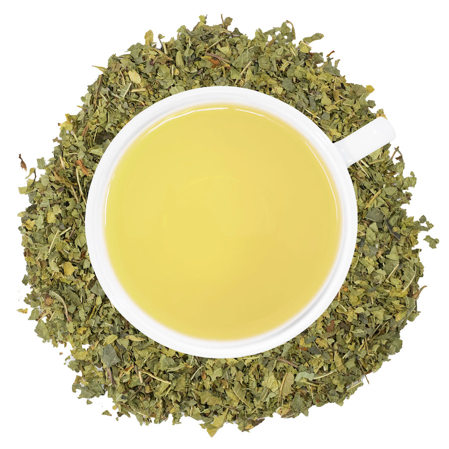 A white cup of Organic Lemon Verbena tea, surrounded by the loose leaf tea.