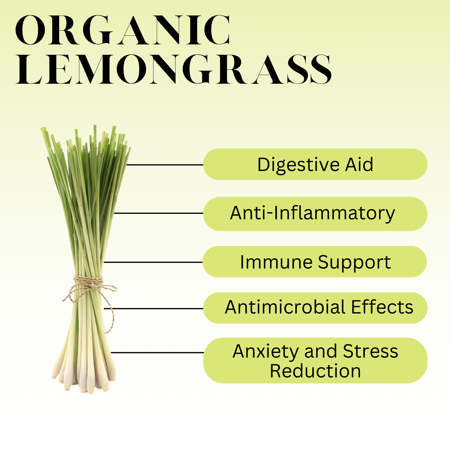 An infographic description for Organic Lemongrass.