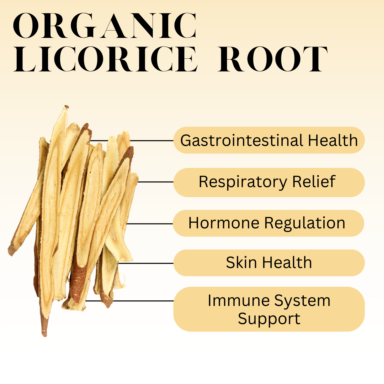 An infographic for Organic Licorice Root with these words written: Gastrointestinal Health, Respiratory Relief, Hormone Regulation, Skin Health, Immune System Support