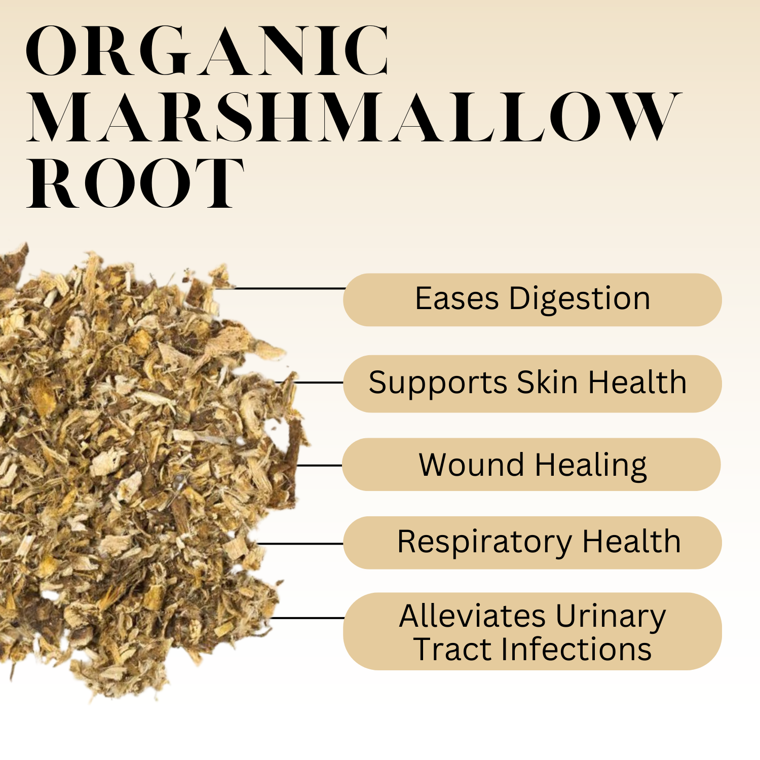 An infographic description for Organic Marshmallow Root.