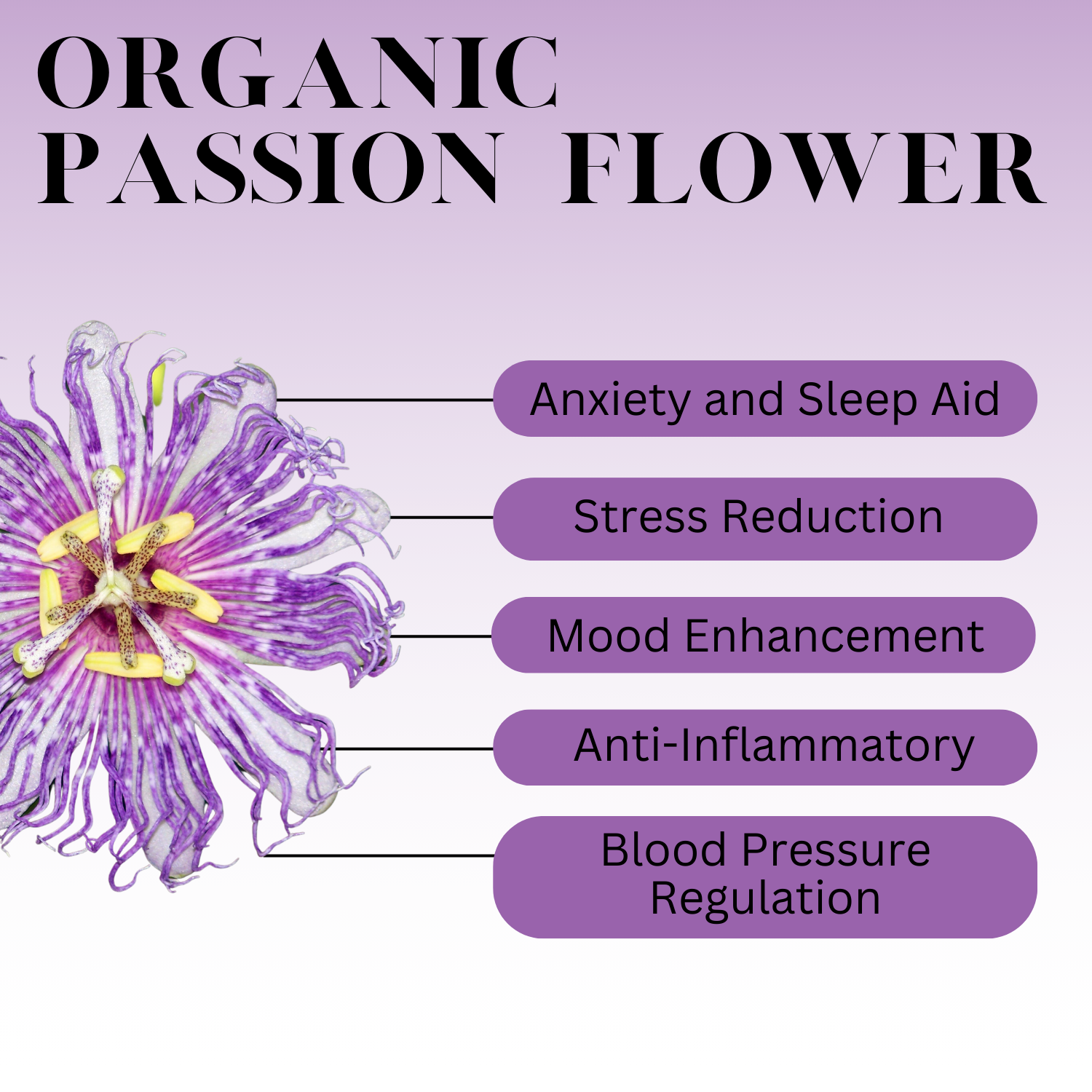 An infographic description for Organic Passion Flower.