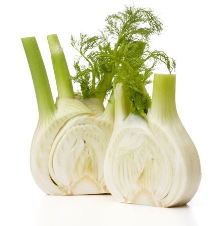 Fresh fennel bulb with green fronds, one half sliced to show its layered interior, on a white background