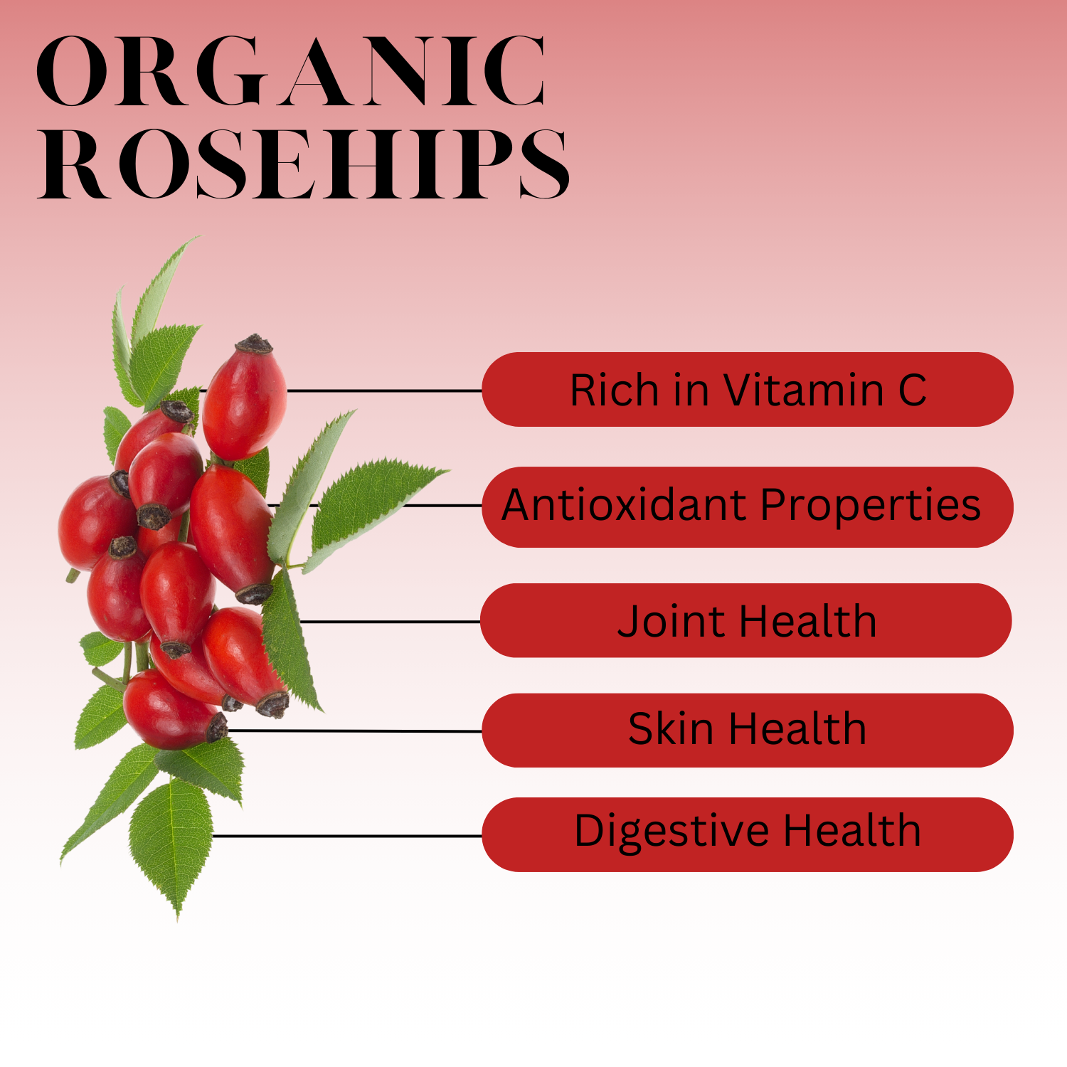 An infographic description for Organic Rosehips.