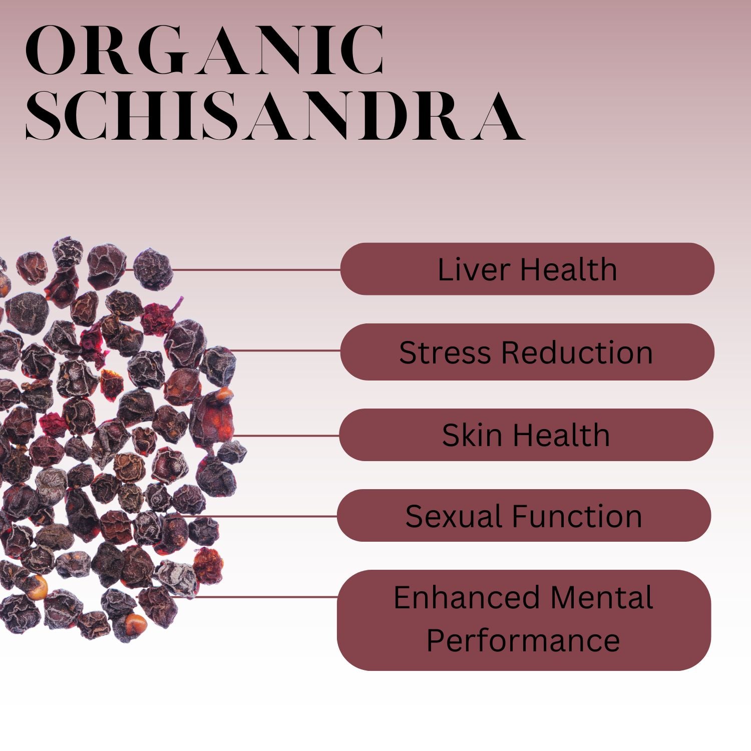 An infographic description for Organic Schisandra berries.