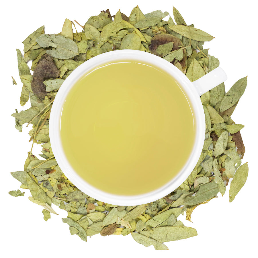 A white mug filled with Senna leaf tea surrounded by senna leaves 