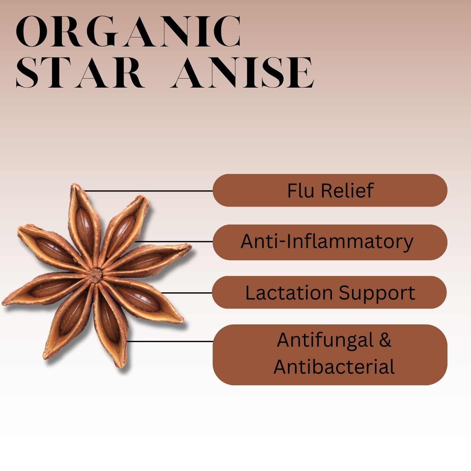 Infographic titled “Organic Star Anise” showing a star anise pod on the left with labeled benefits on the right: flu relief, anti-inflammatory, lactation support, and antifungal & antibacterial properties.