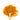 Organic Turmeric Powder on a wooden spoon.