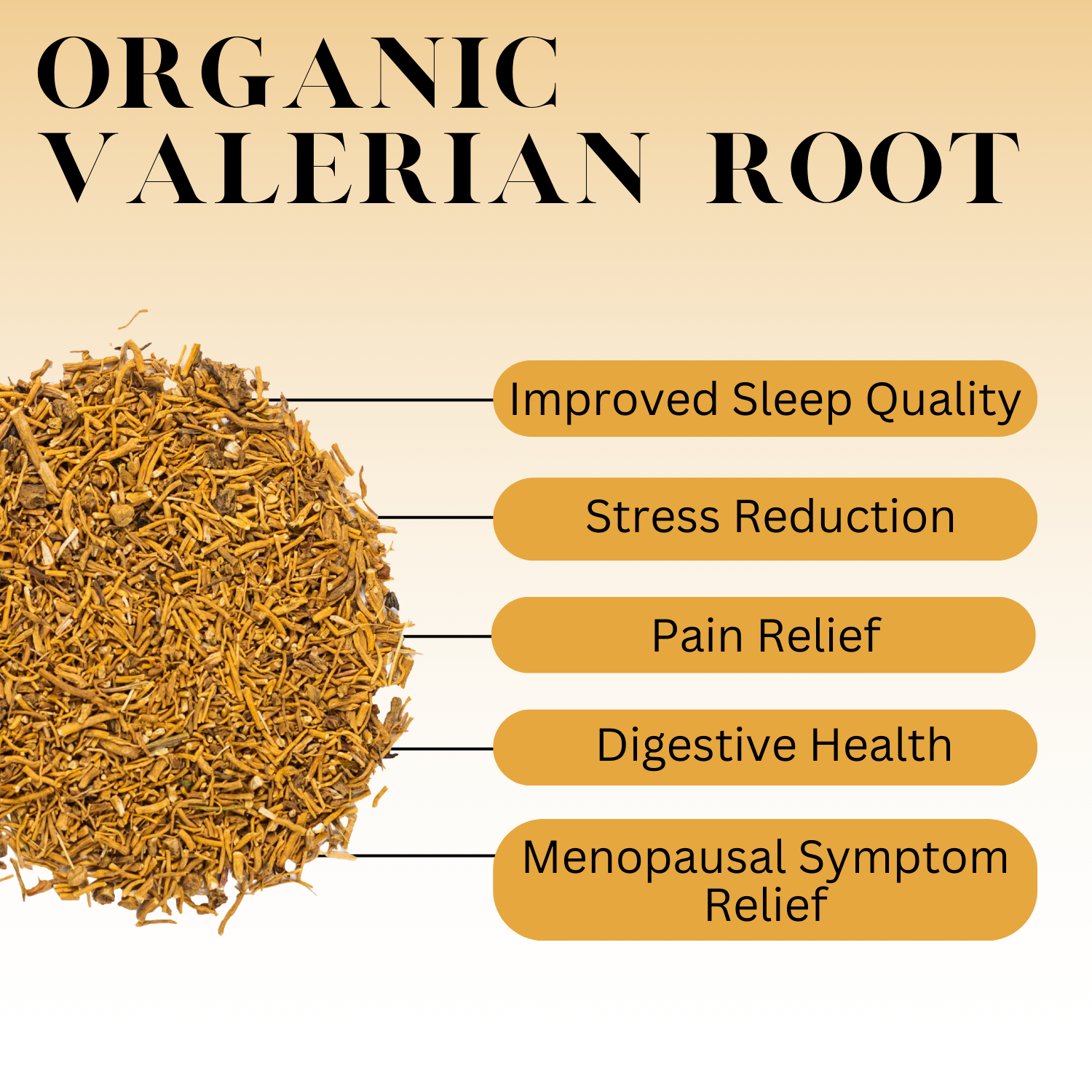 Infographic showing the benefits of organic valerian root with a pile of dried root on the left and labeled benefits including improved sleep quality, stress reduction, pain relief, digestive health, and menopausal symptom relief.
