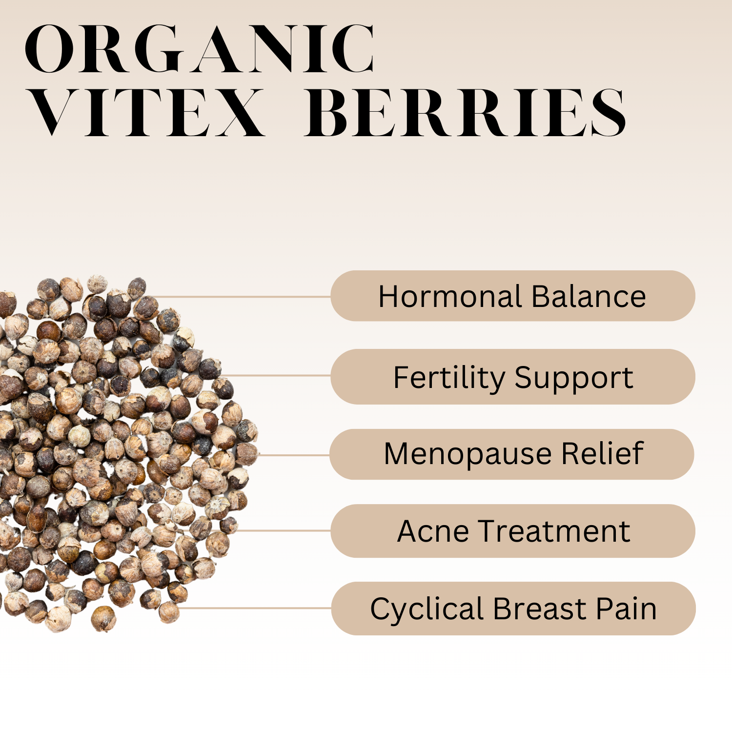 Infographic titled ‘Organic Vitex Berries’ showing a cluster of vitex berries on the left with labeled benefits including hormonal balance, fertility support, menopause relief, acne treatment, and cyclical breast pain.
