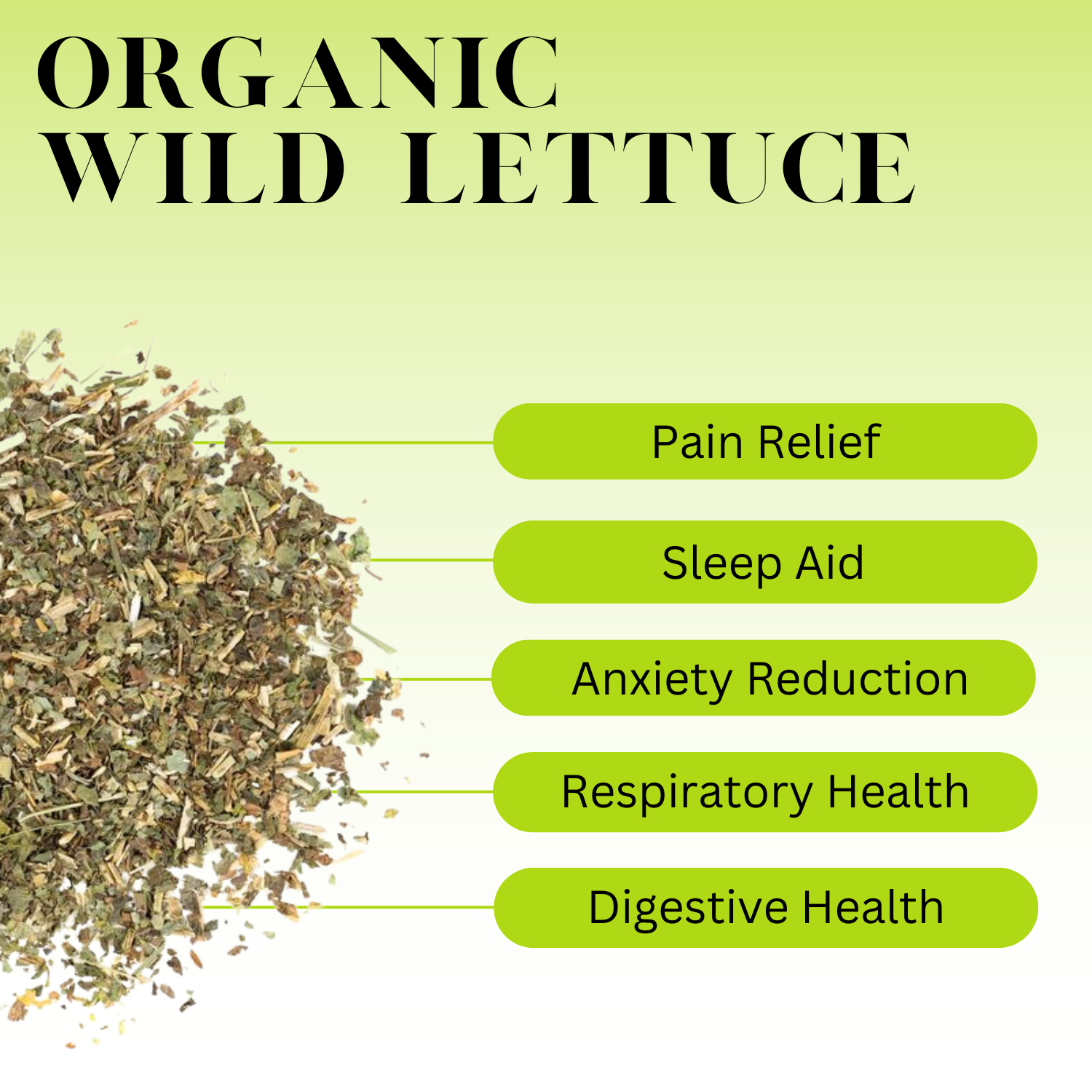 An infographic description of Organic Wild Lettuce.